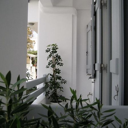 Aelia Apartments Naxos City Eksteriør bilde