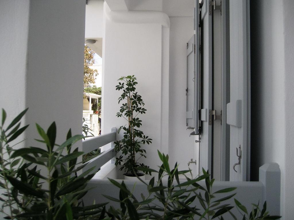 Aelia Apartments Naxos City Eksteriør bilde
